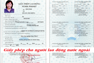 Thủ tục cấp giấy phép cho lao động nước ngoài tại Việt Nam